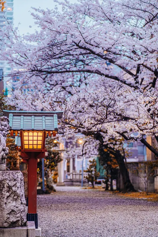 Axel.Tokyo Premium Domain